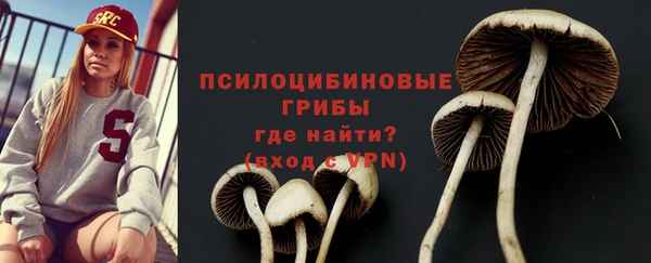 хмурый Армянск