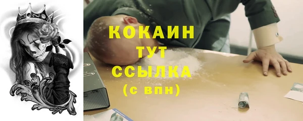 гашик Бородино