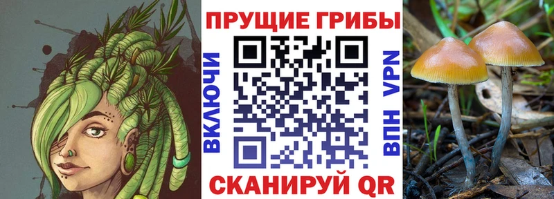 Псилоцибиновые грибы MAGIC MUSHROOMS  наркота  Балашиха 